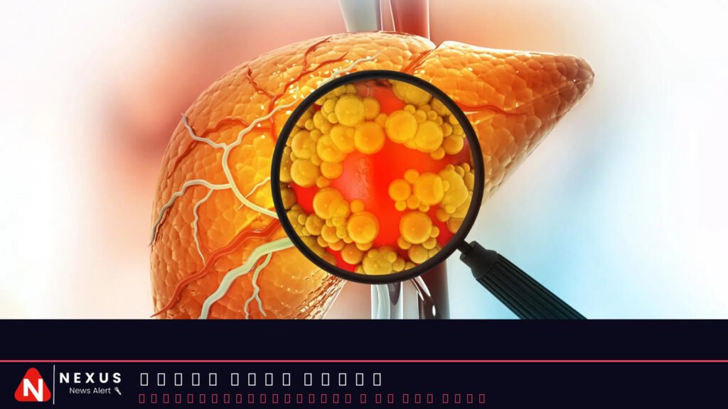 A promising fatty liver treatment may raise cancer risk