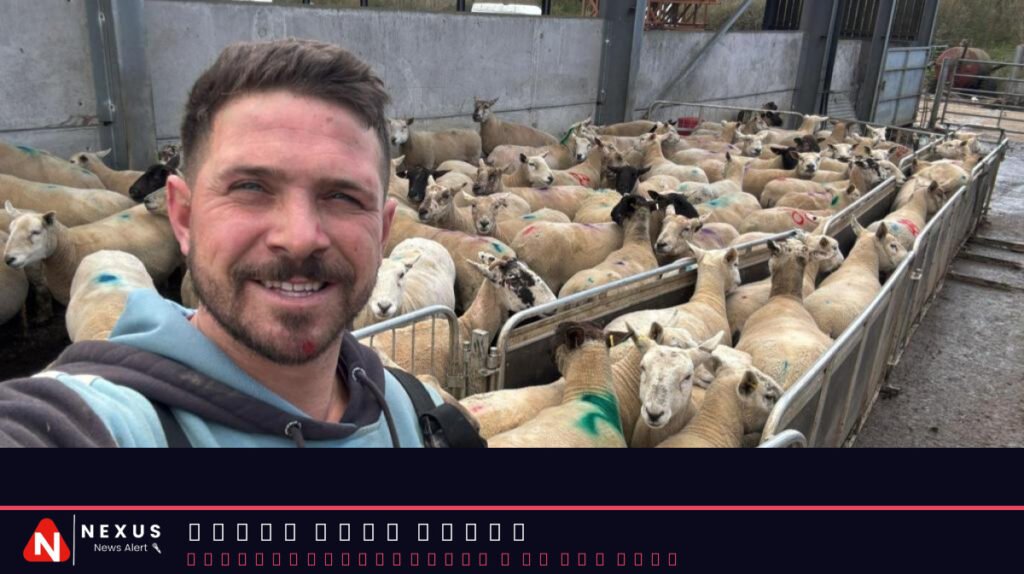 Dog owners to face unlimited fines if their pets attack livestock under new law