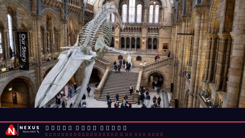 Natural History Museum overtakes British Museum as UK's top tourist attraction