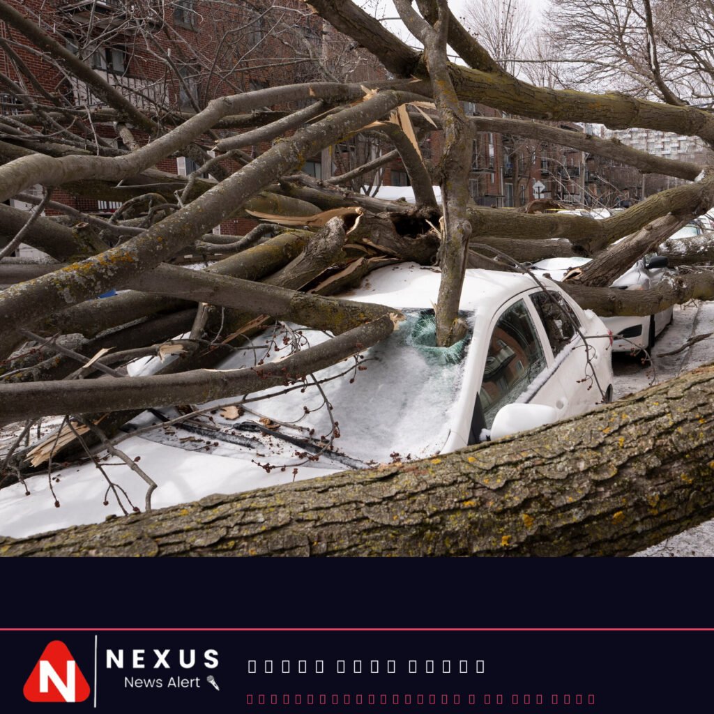 The Weather Is Getting Wilder, and Some See a Dire Signal in the Data