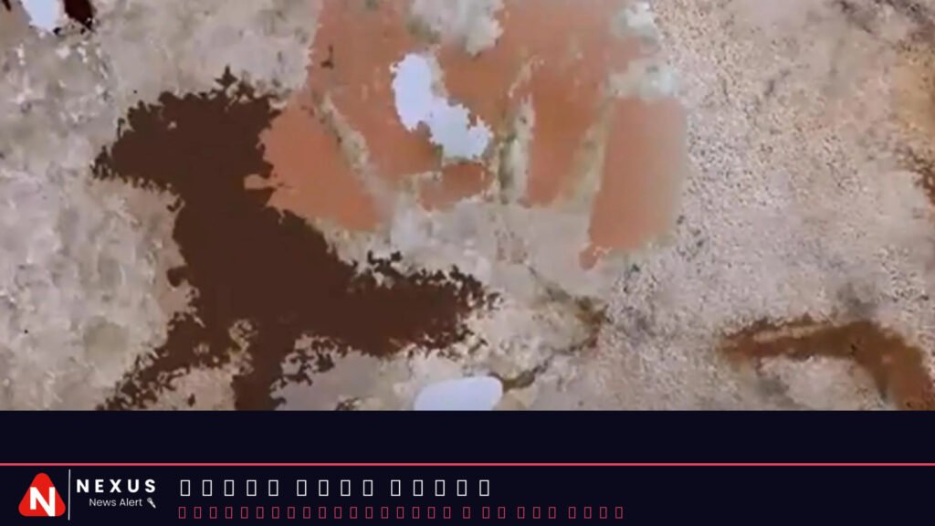 This 67,800-year-old handprint is the oldest art ever found