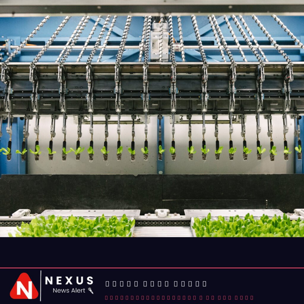 Vertical Farms Tried to Compete With Open Field Farming. It Isn’t Going Well.