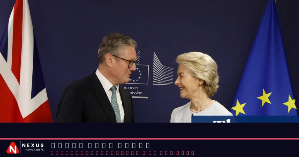 Britain could adopt single market rules without MPs’ vote as part of UK-EU reset