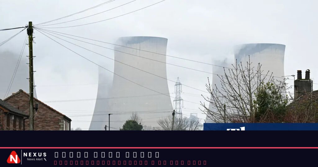 Burning wood for power worse for climate than gas equivalent, report finds