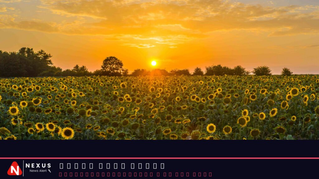 Fewer heat-related deaths in 2025 despite warmest summer