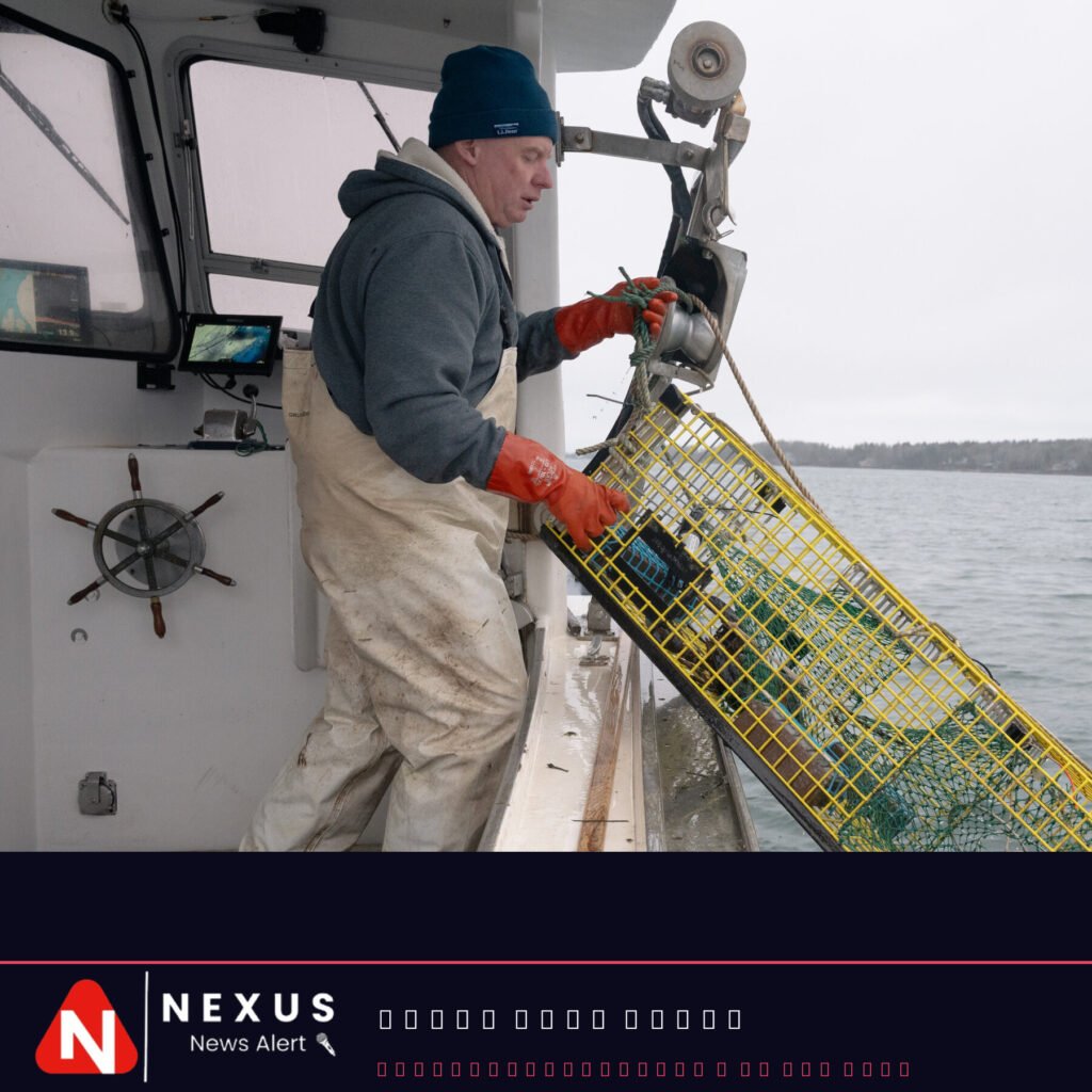 In New England, Catching Climate Data Along With Fish