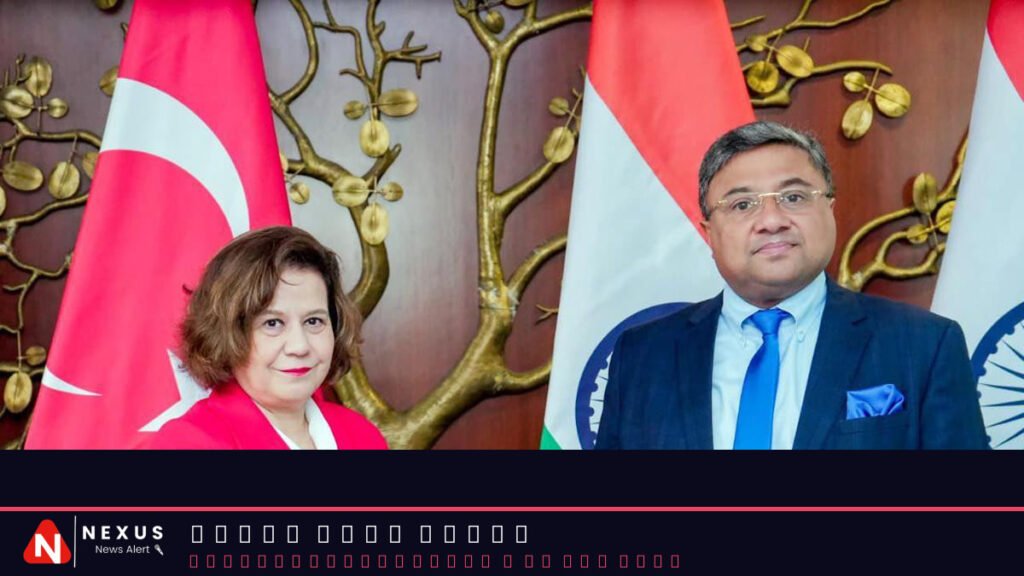 India-Turkiye talks hint at a thaw in bilateral relations