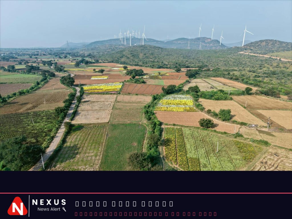 India's Aggressive Energy Diplomacy In Middle East To Restore Oil Imports