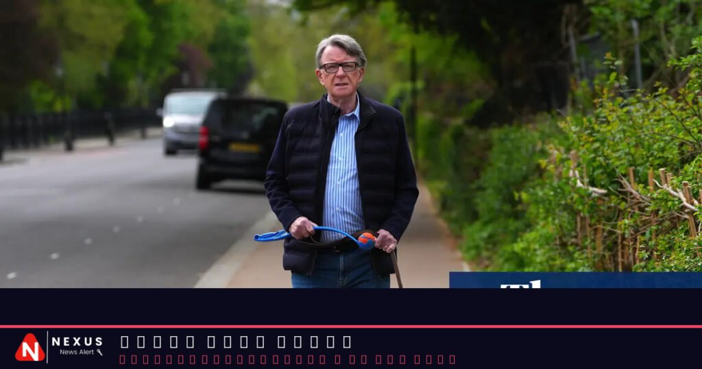 Ministers urged to share Mandelson vetting files with intelligence committee