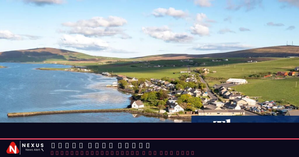 More than 15m oysters to be released in the North Sea for UK rewilding project