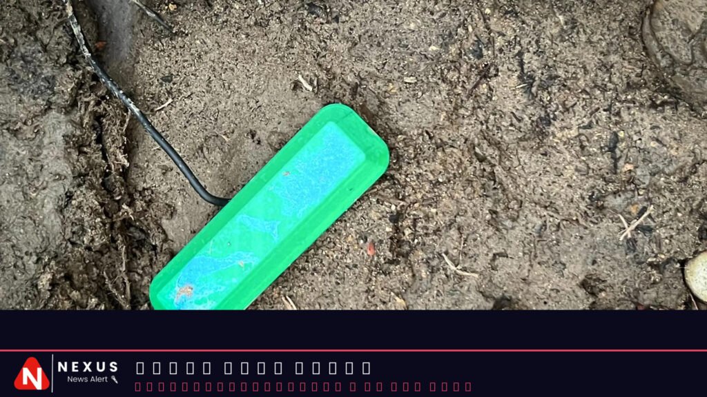 Scientists develop dirt-powered fuel cell that could replace batteries