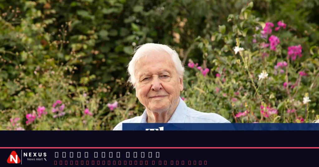 Secret Garden review – David Attenborough offers us a gorgeous fantasy for his 100th birthday