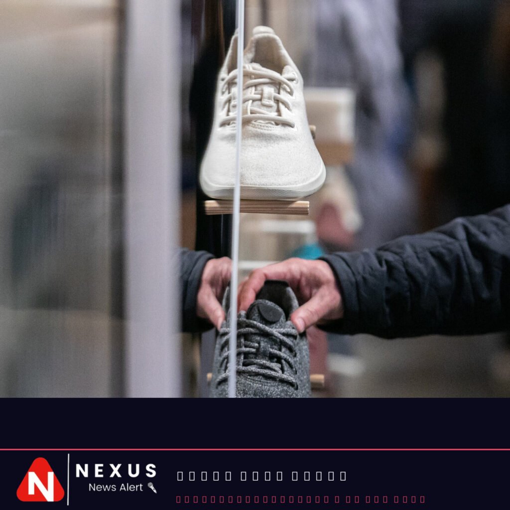 Sneaker Company Allbirds Plans to Pivot to A.I. Yes, A.I.