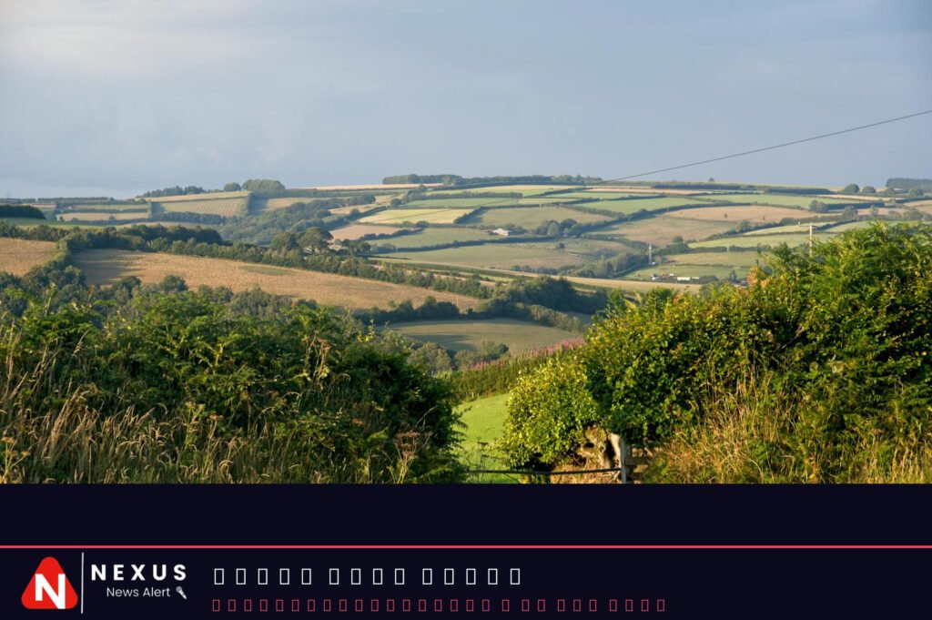 Somerset edge past Hampshire to stay top, Warwickshire beat Essex: county cricket – live