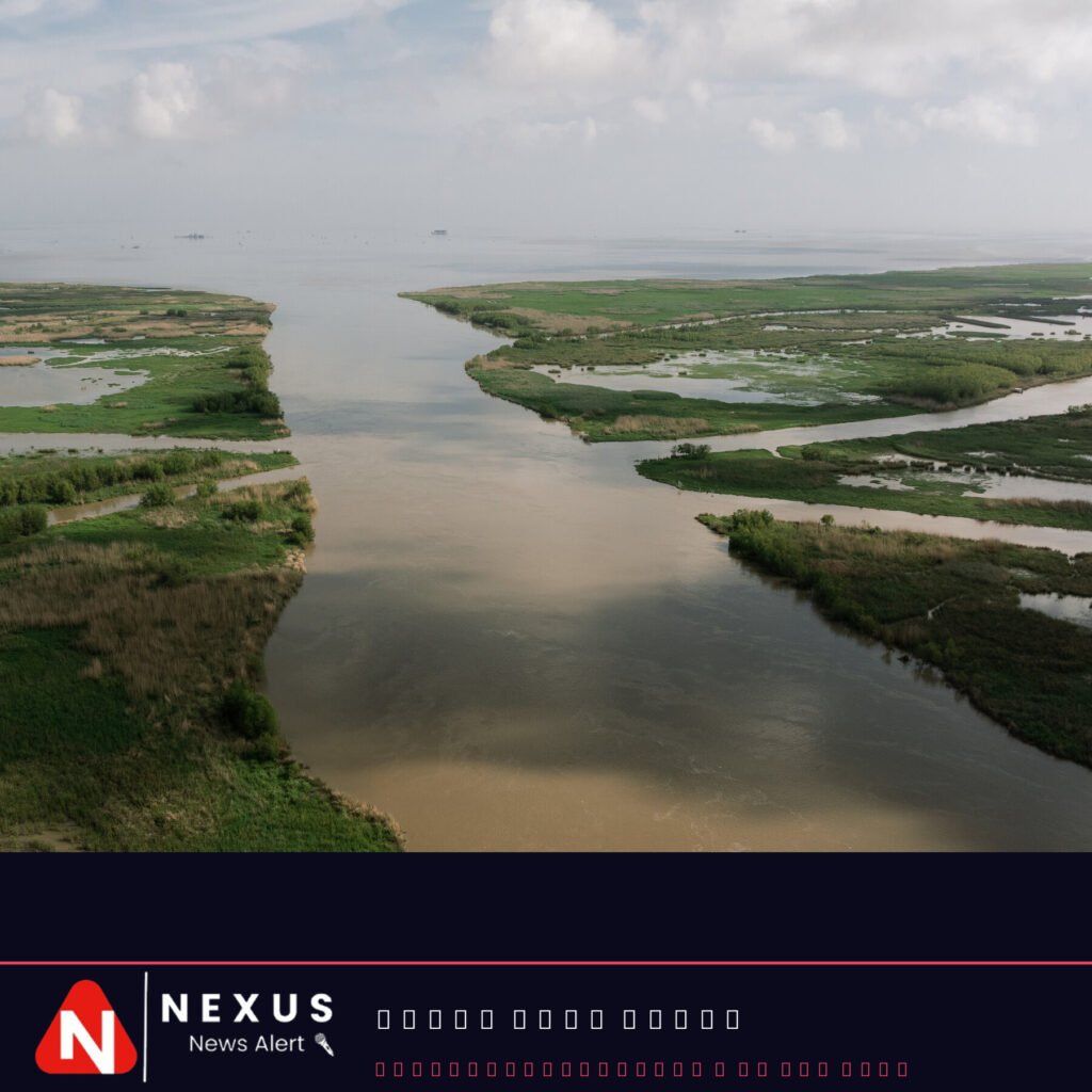 Supreme Court Sides With Oil Companies in Louisiana Coastal Lawsuits