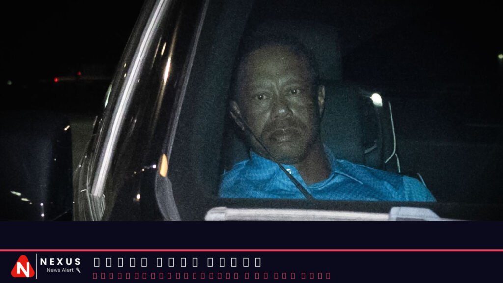 Tiger told deputy: 'Was just talking to president'