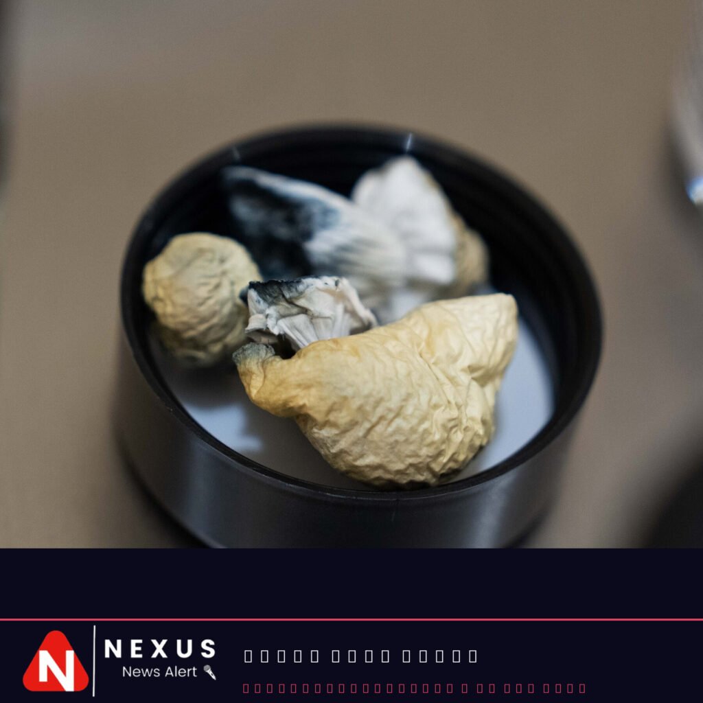 Trump Signs Executive Order to Loosen Restrictions on Psychedelic Drugs