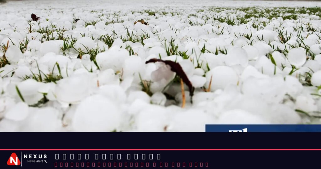 Weather tracker: hail covers parts of Tunisia and Algeria like snow