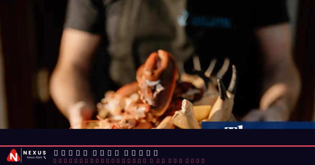 Where to find Scotland’s best seafood. Clue: these places are just metres from the water