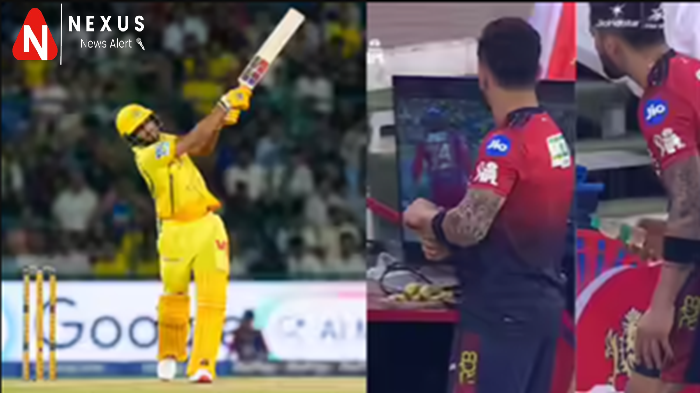 Virat Kohli Spotted