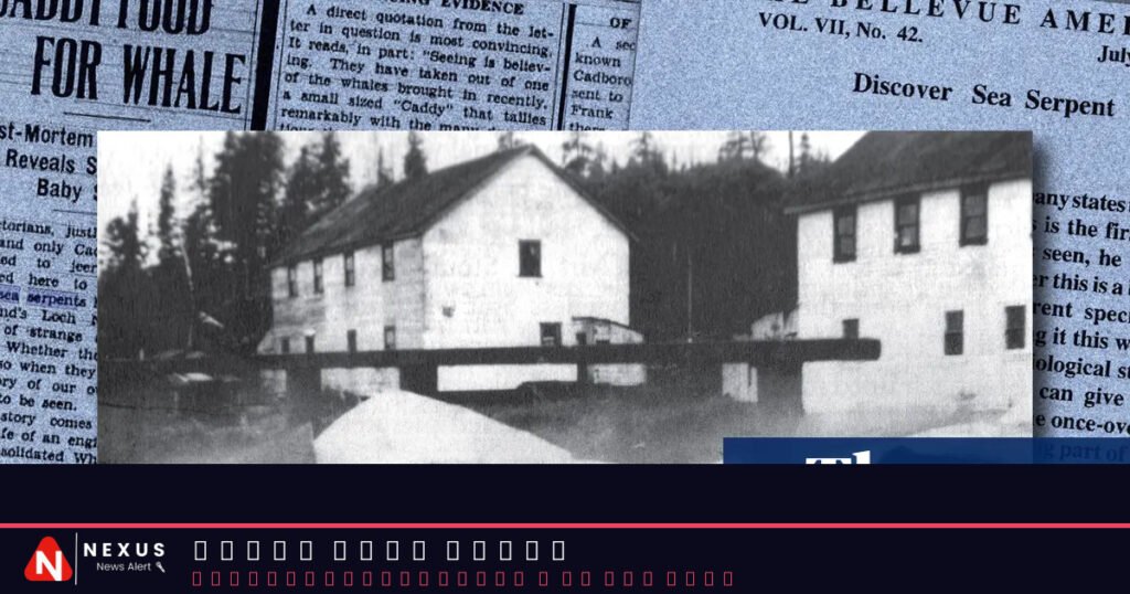 Shark or sea monster? The Canadian marine mystery that still intrigues experts 90 years on