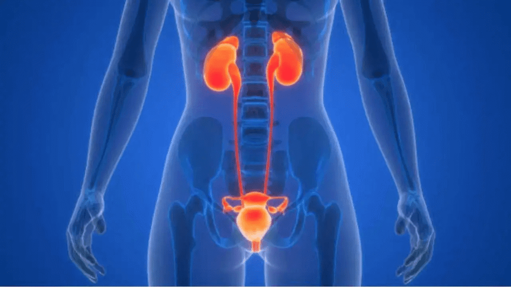 Bladder cancer robotic surgery